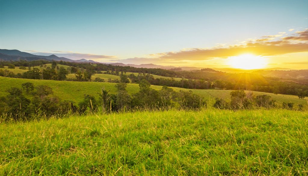 Home sunset sunshine coast farm
